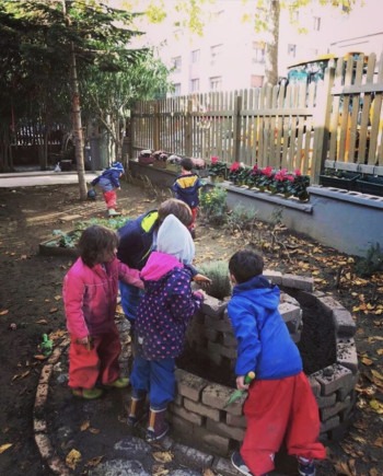 MOMO ve ‘DOĞASI’