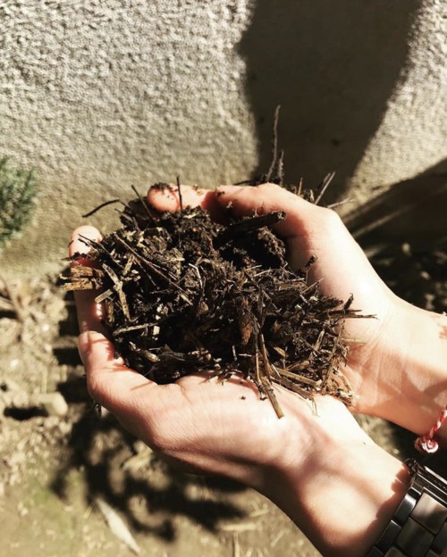 Evde Bir Saksı Toprak İle Yapılabilecekler